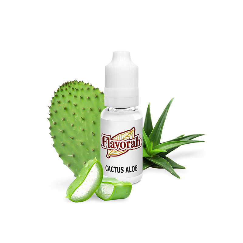 Cactus Aloe Type